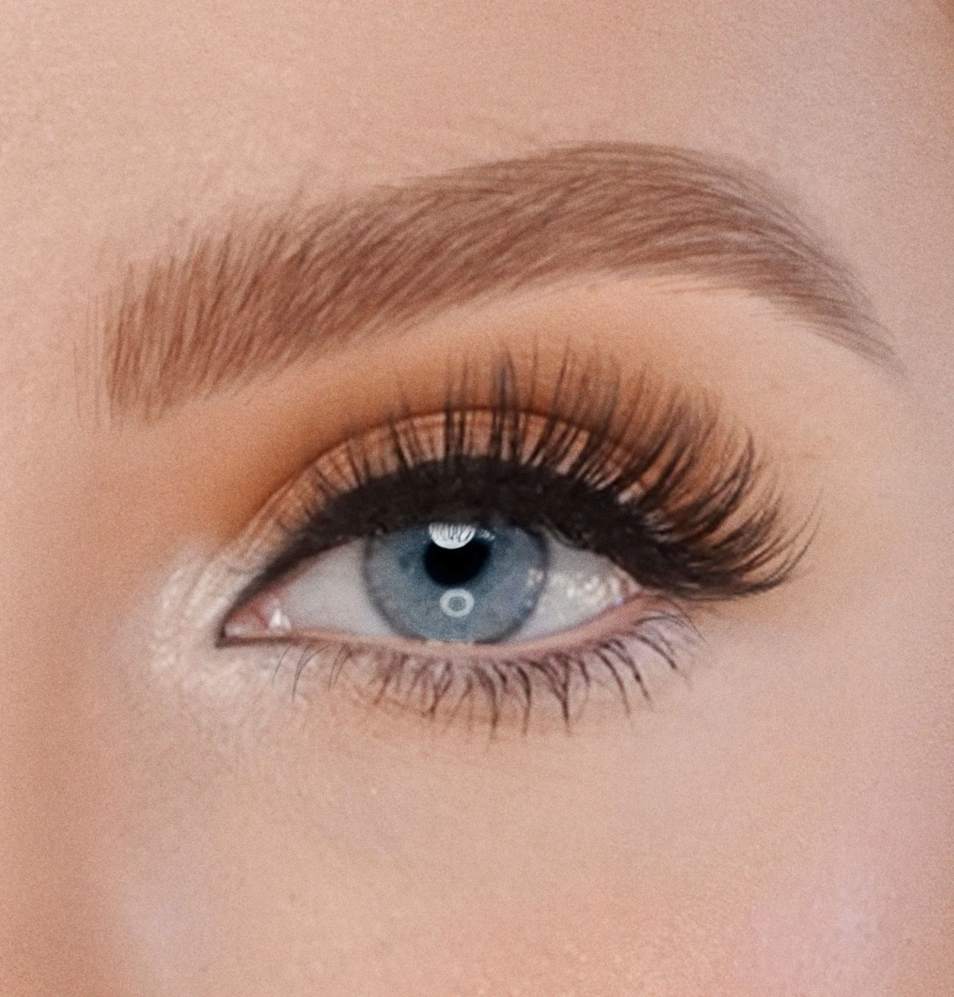 Occhi Universal Lash - Focus - Ciglia Finte