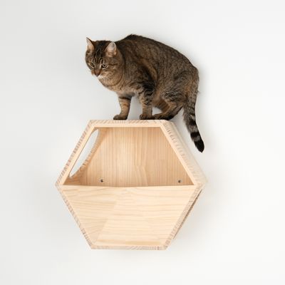 Cuccia per gatti da parete Lulu