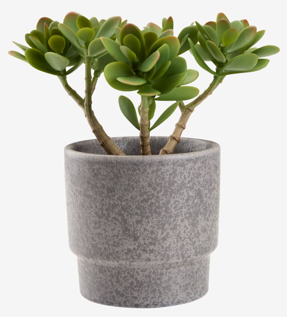 JOSTEIN Umjetna biljka JOSTEIN V23cm zelena