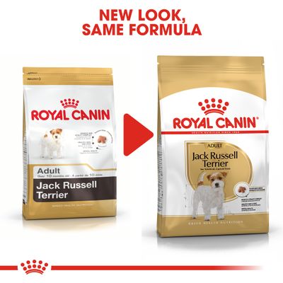Royal Canin Jackrussellinterrieri aikuisille