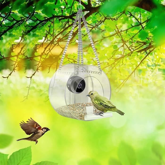 Comedero inteligente para pájaros con cámara - OMABETA - Visión nocturna - Exterior - Aves silvestres