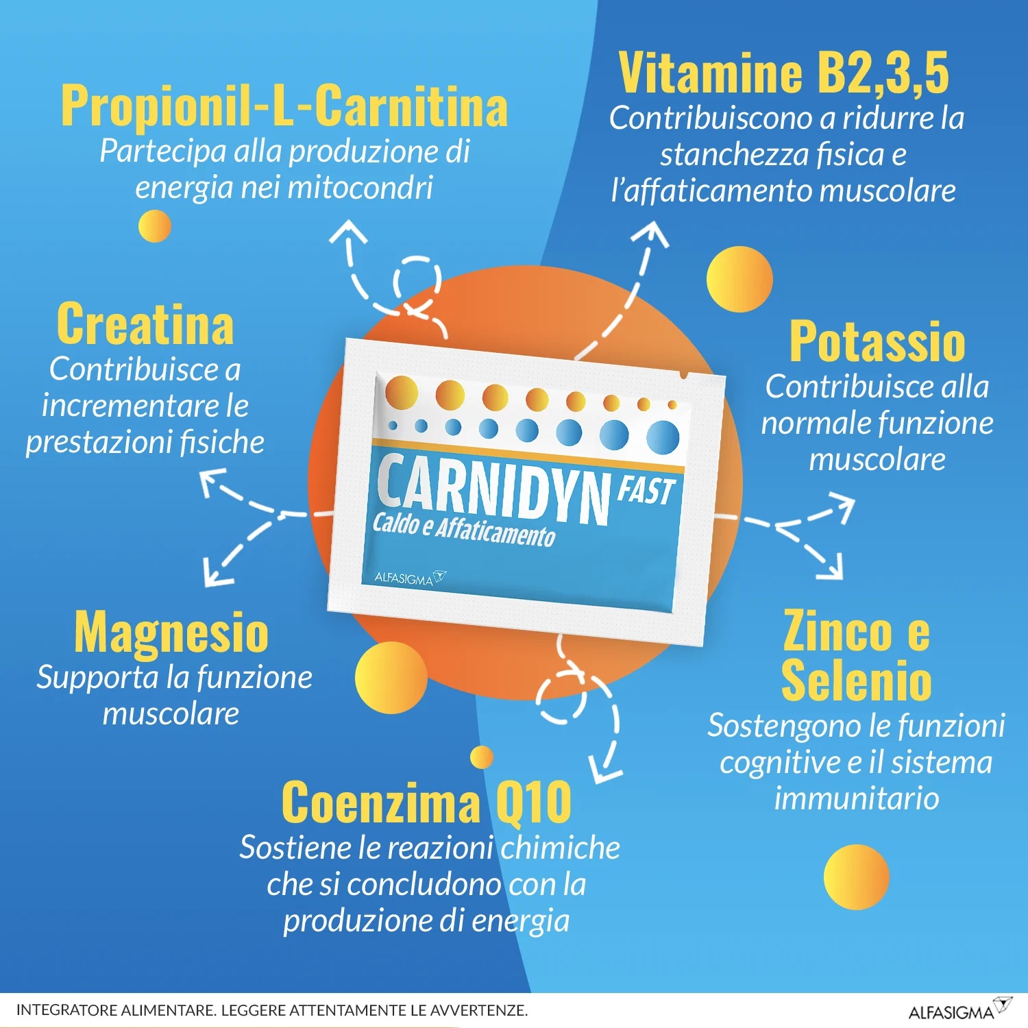 CARNIDYN Alfasigma Carnidyn Fast 20 sachets Voedingssupplement met magnesium, kalium en carnitine