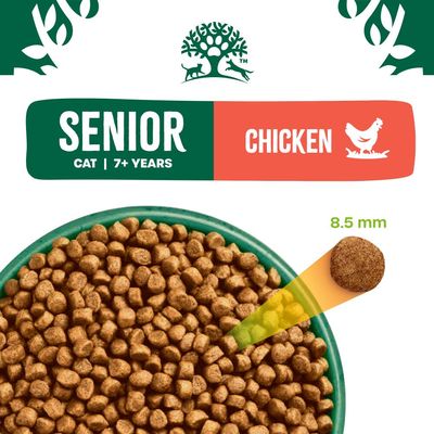 James Wellbeloved Senior 7+ Gatto - Pollo