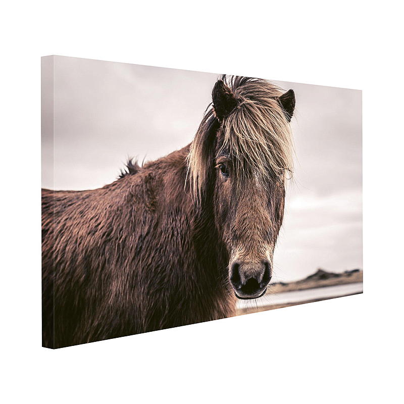 Quadro su tela 70x100 cm