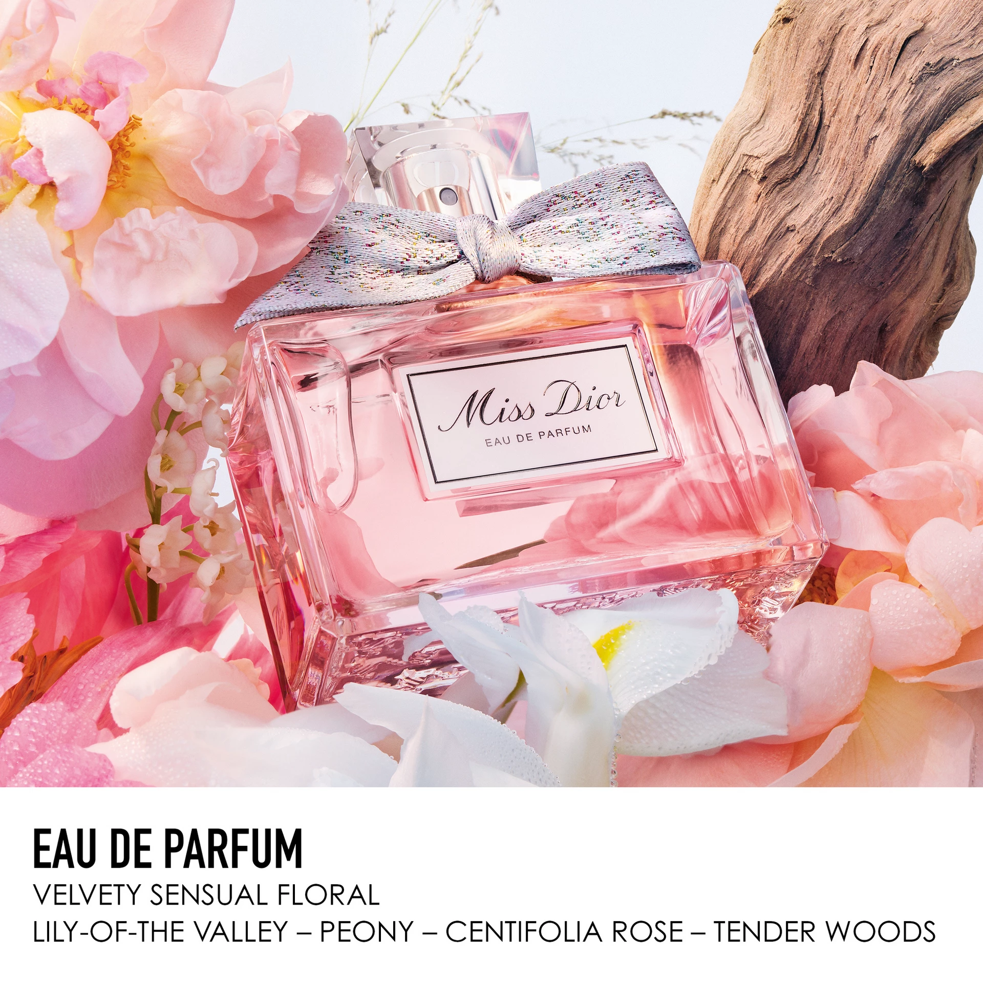 Miss Dior EdP 50 ml Cutie cadou - DIOR