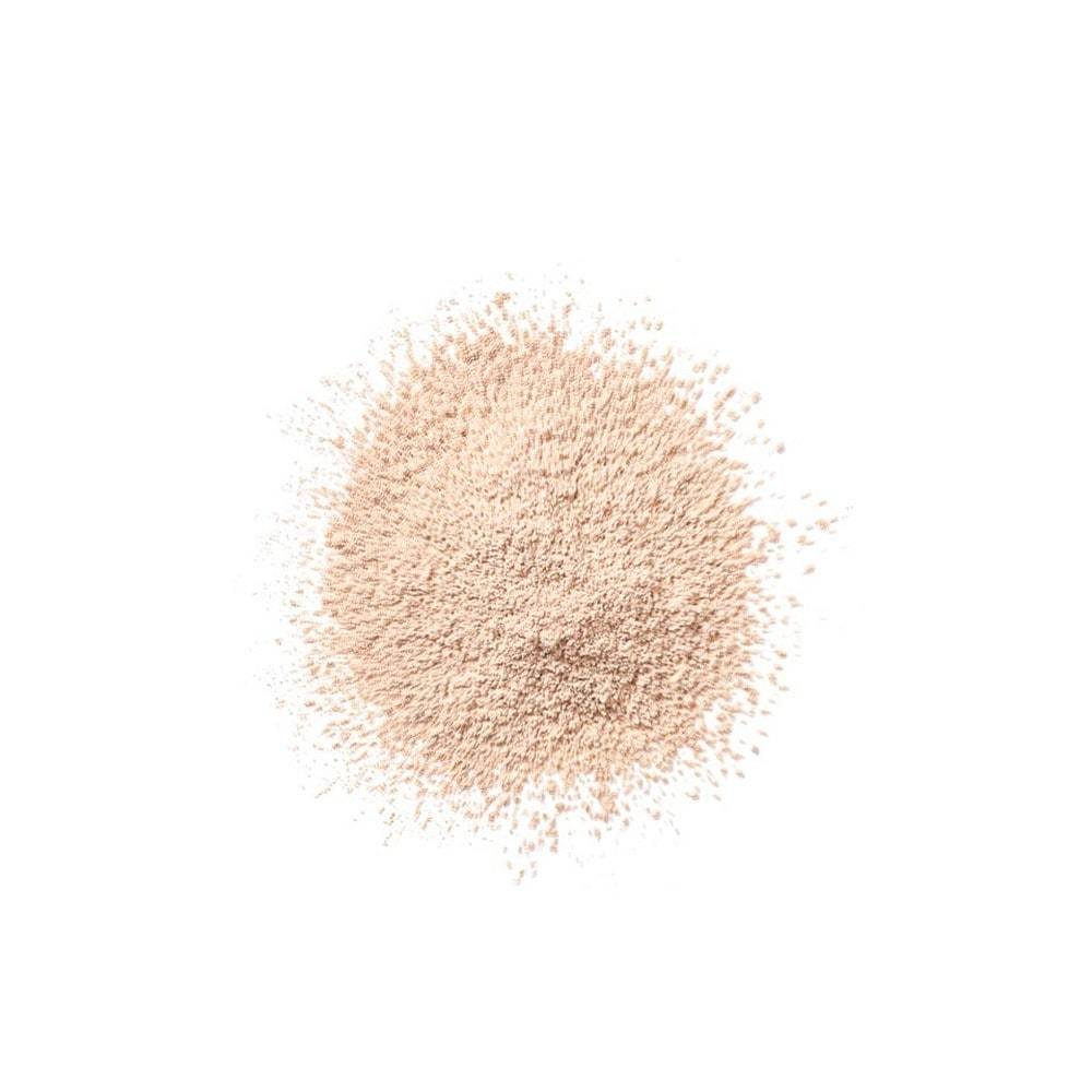 Clinique Powder Blended Face Powder Transparent matirajući puder - 25 g