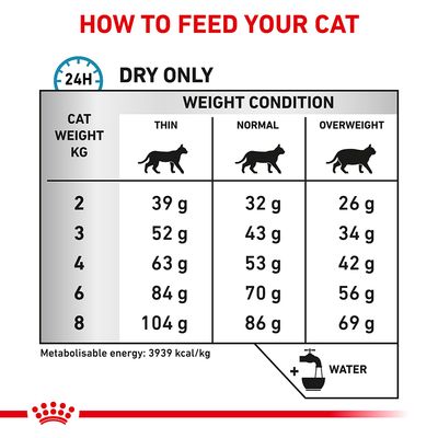 Royal Canin Vétérinaire Chat - Anallergénique