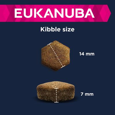 Eukanuba Senior Razze di Piccola e Media Taglia - Agnello e Riso