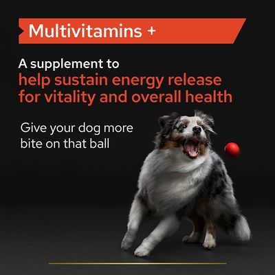 PRO PLAN Dog Multivitamins Supplement Tablet