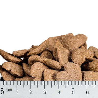 Briantos FitBites - Łosoś z ryżem i cukinią