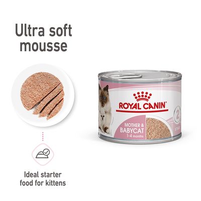 Ultra jemná pěna Royal Canin Mother & Babycat