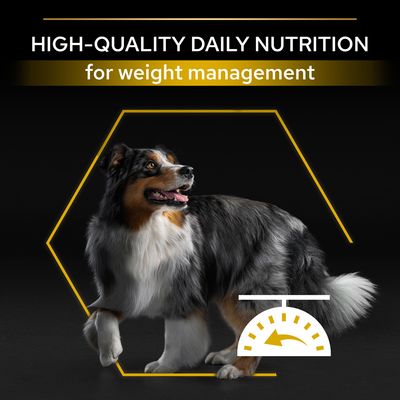 PURINA PRO PLAN Alle størrelser Voksen Light/Sterilisert