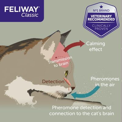 Recambio Feliway® Classic
