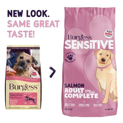 Burgess Sensitive Adult Dog Salmon