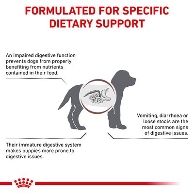 Royal Canin Κτηνιατρική Κλινική - Κουτάβι για Γαστρεντερικό Σύστημα