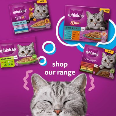 Whiskas 1+ Mięsne posiłki w sosie