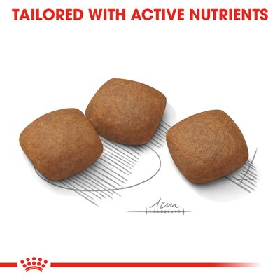 Royal Canin Maxi Soins des articulations