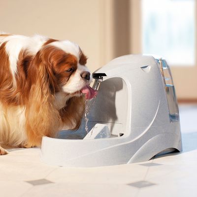 Filtres de rechange Drinkwell® Platinum / Original par Petsafe® (paquet de 3)