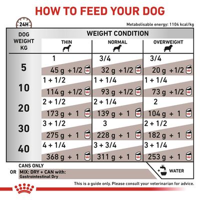 Royal Canin Veterinär-Guart für Hunde