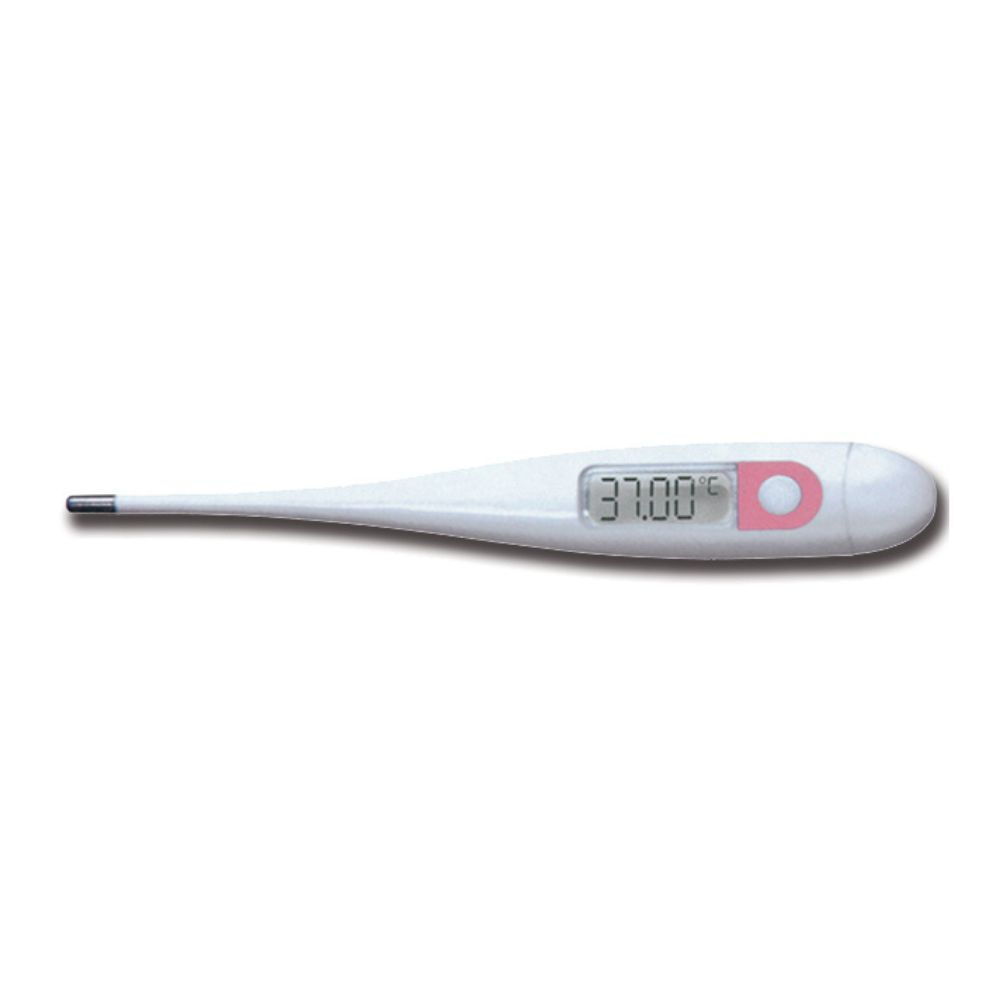 Gima Digital Basal