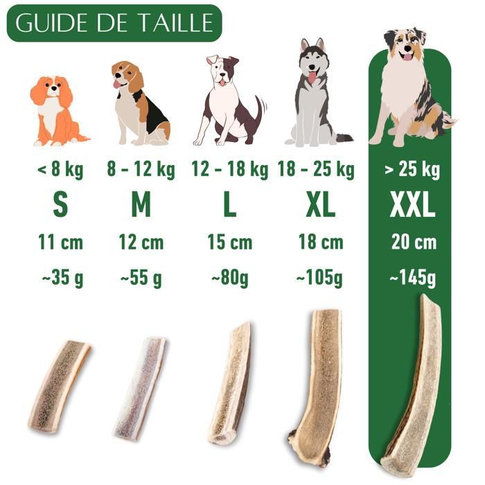 Deer Antler for Dogs to Chew, Slice, XXL Size, Treat for Puppies and Dogs of All Ages, Chewing Toy, 1 Piece