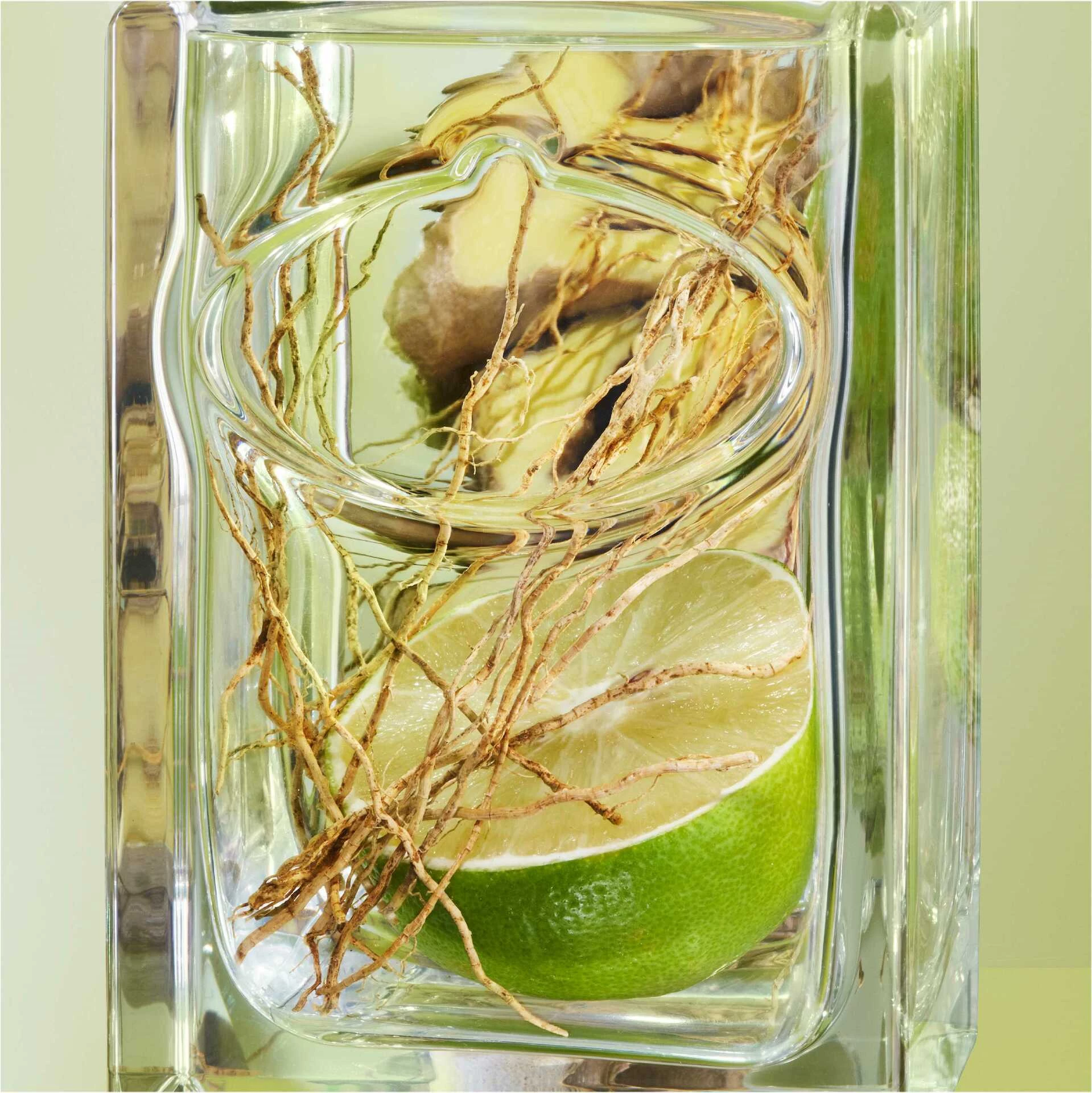 Infusion De Vetiver EdP 100 ml - Prada