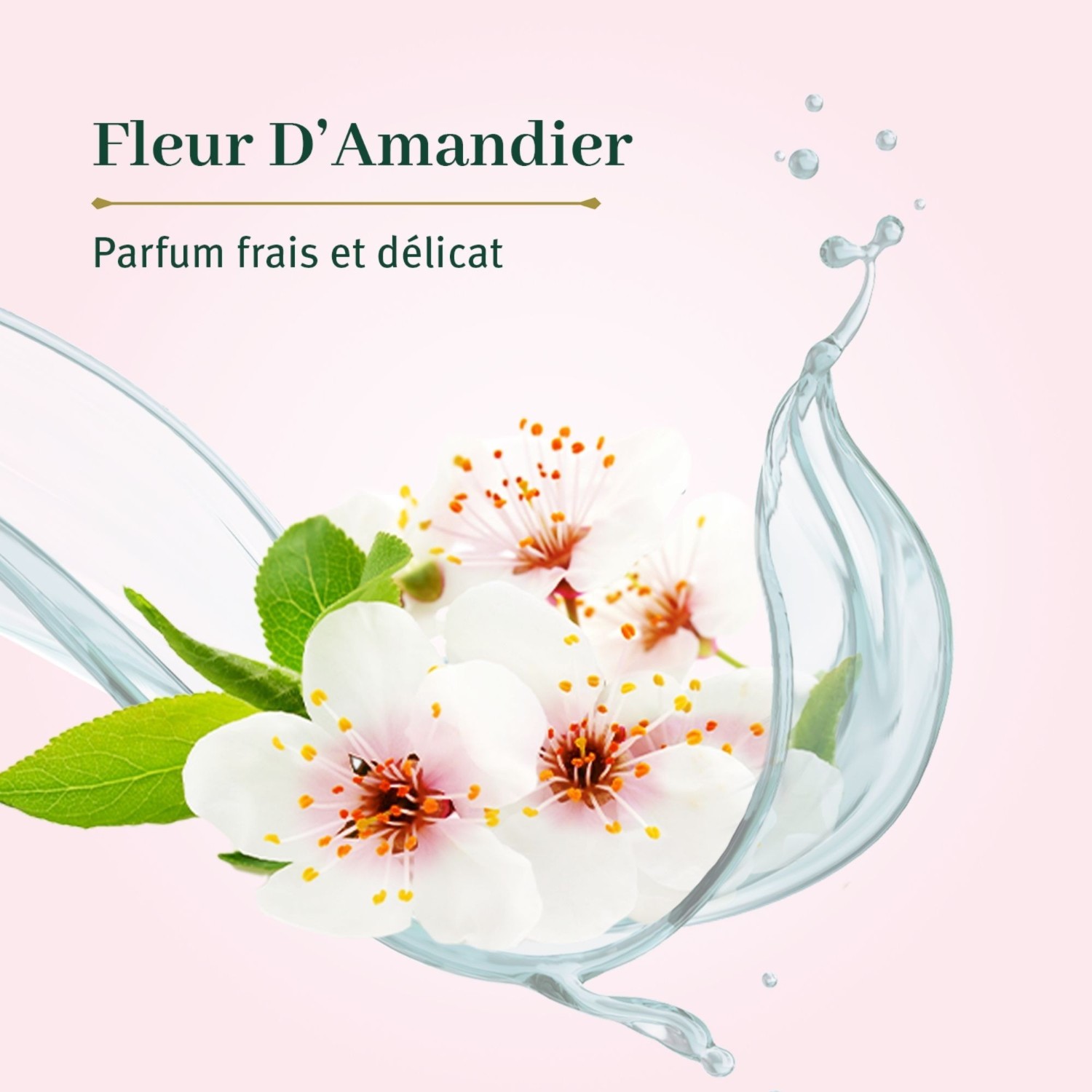 Le Petit Olivier Gelée de Douche Fleur d'Amandier