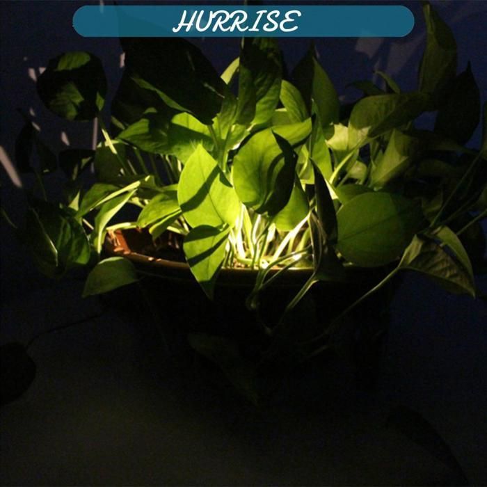 Sonew Dekorative Topfleuchte, Sonew Solar-Blumenleuchte, LED-Solar-Gartenlampen, Dekorative Topfleuchte, Verschiedene Farben