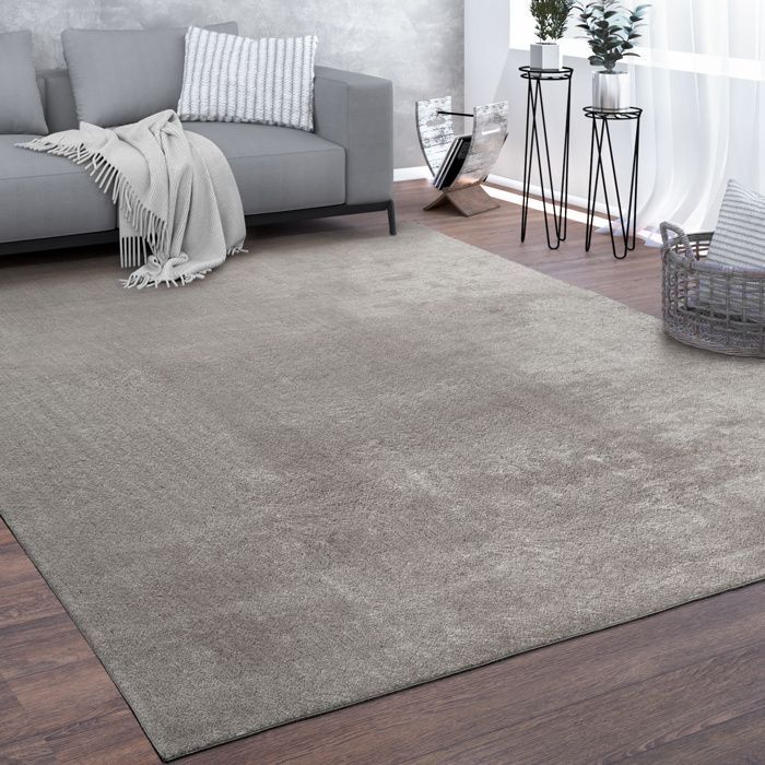 Paco Home Tapis De Salon Poils Ras Lavable Monochrome Style Moderne Gris Gris 120x170 cm