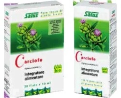SALUS HAUS Artisjokkensap 200 ml Biologisch
