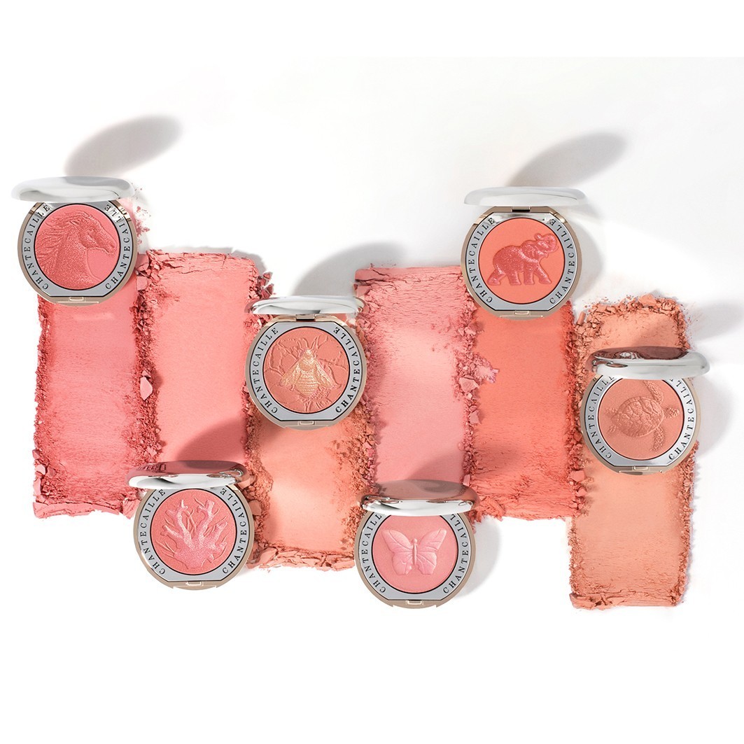 Chantecaille Rouge Wangenfarbe – 2,5 g