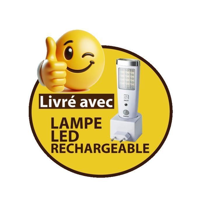 Benzinegenerator met oplaadbare LED-lamp - MASTER FLASH - 2900W max - 96dB(A) - 15L