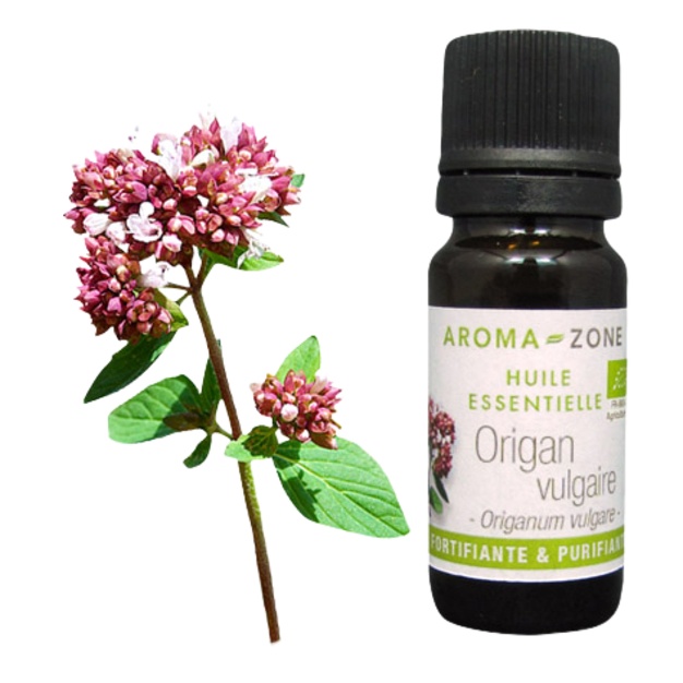 Olio essenziale di origano biologico