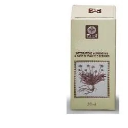 ECOL Ginkgo Biloba alcohol 5ml