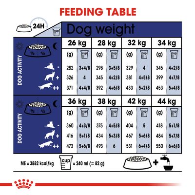 Royal Canin Maxi Ab 8+