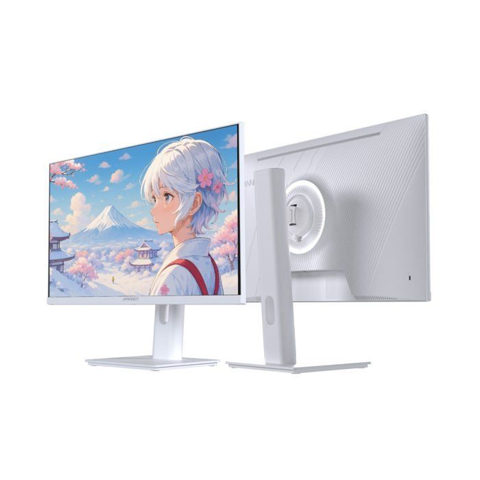 Monitor per PC da gaming - JAPANNEXT - 23,8