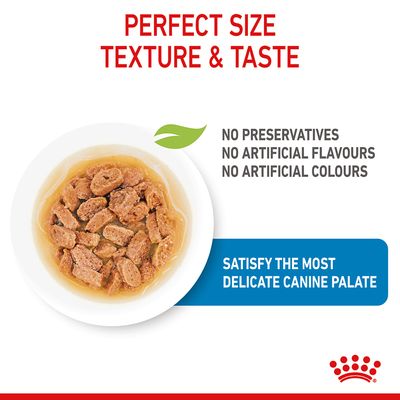 Royal Canin Mini Puppy en sauce