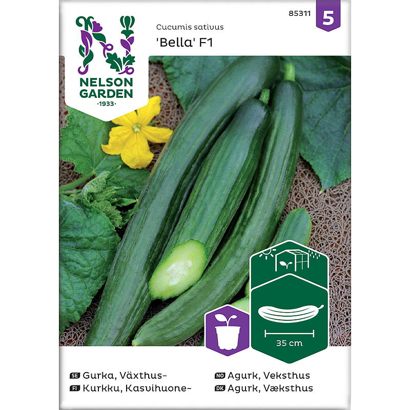 Nelson Gartensamen Gurken-Schlangen, Gewächshaus, Bella F1