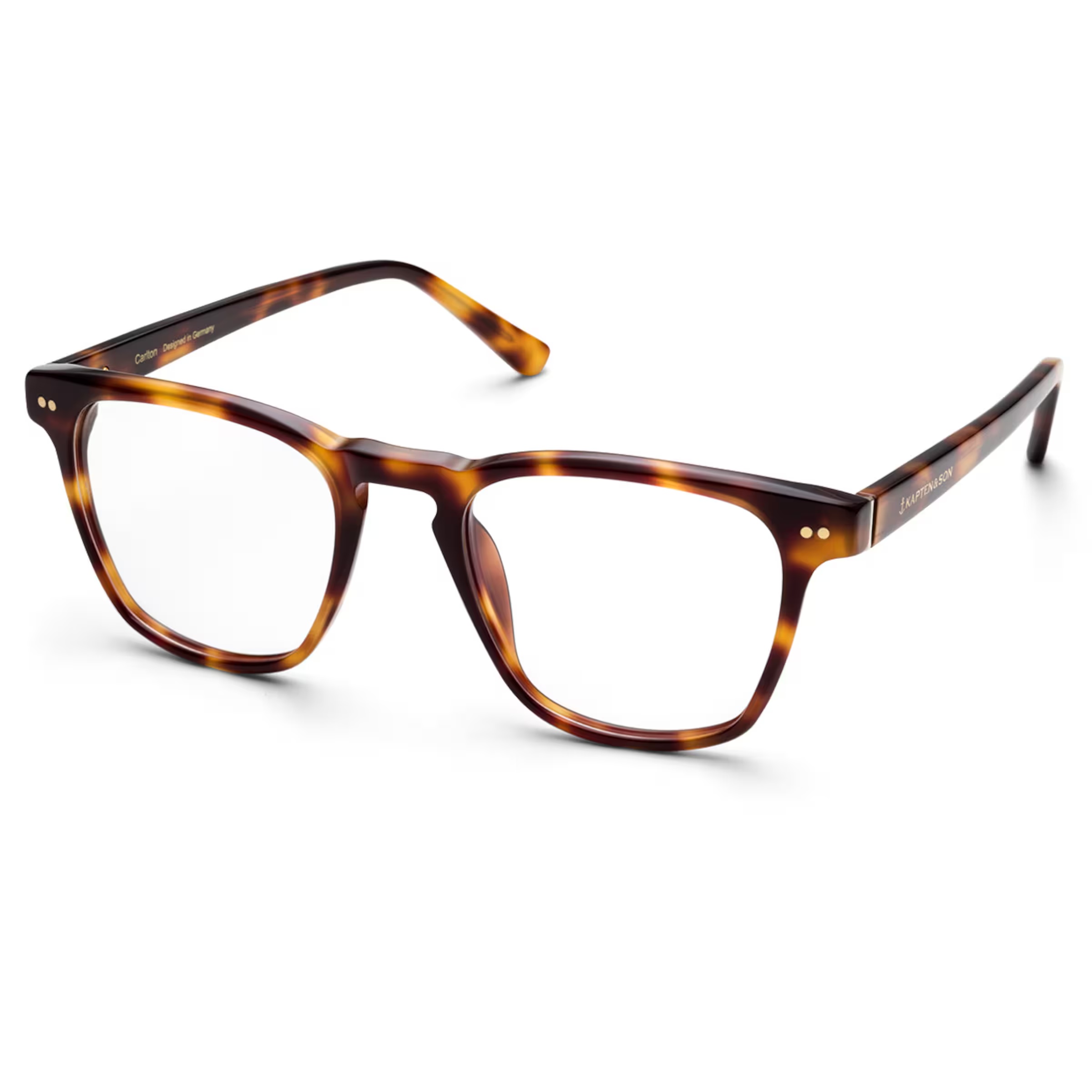 Tortue Carlton Shine avec ordonnance