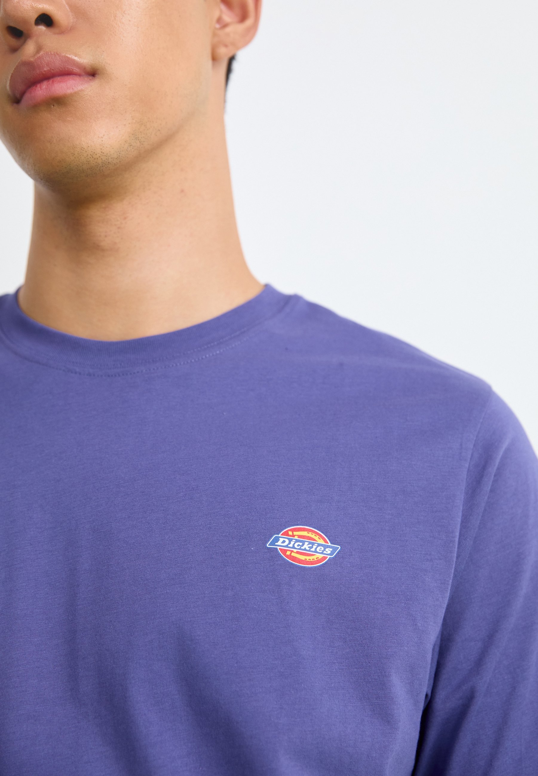 T-shirts basiques Dickies