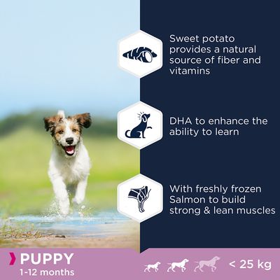 Eukanuba Grain-Free štěňata malých a středních plemen s mořskými rybami