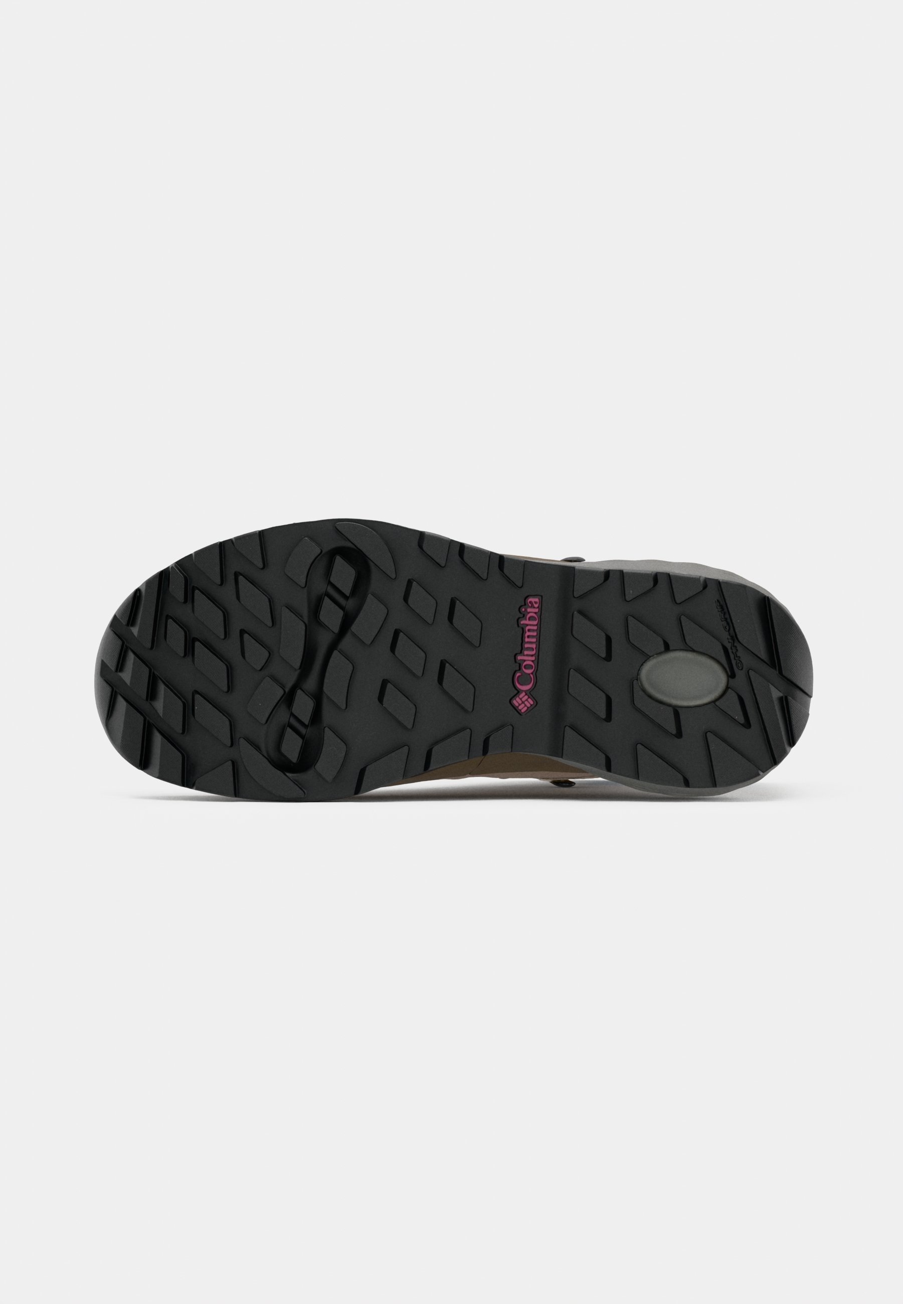 Columbia NEWTON ALPINE PT - Wandelschoenen - nat zand/rozet