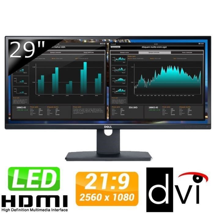 Monitor DELL U2913WM