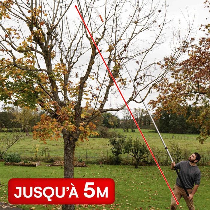 Scie sur perche d'élagage télescopique 2 à 5 mètres - Scie à Élaguer - Manche Aluminium - Légère - Lame Acier Tranchant