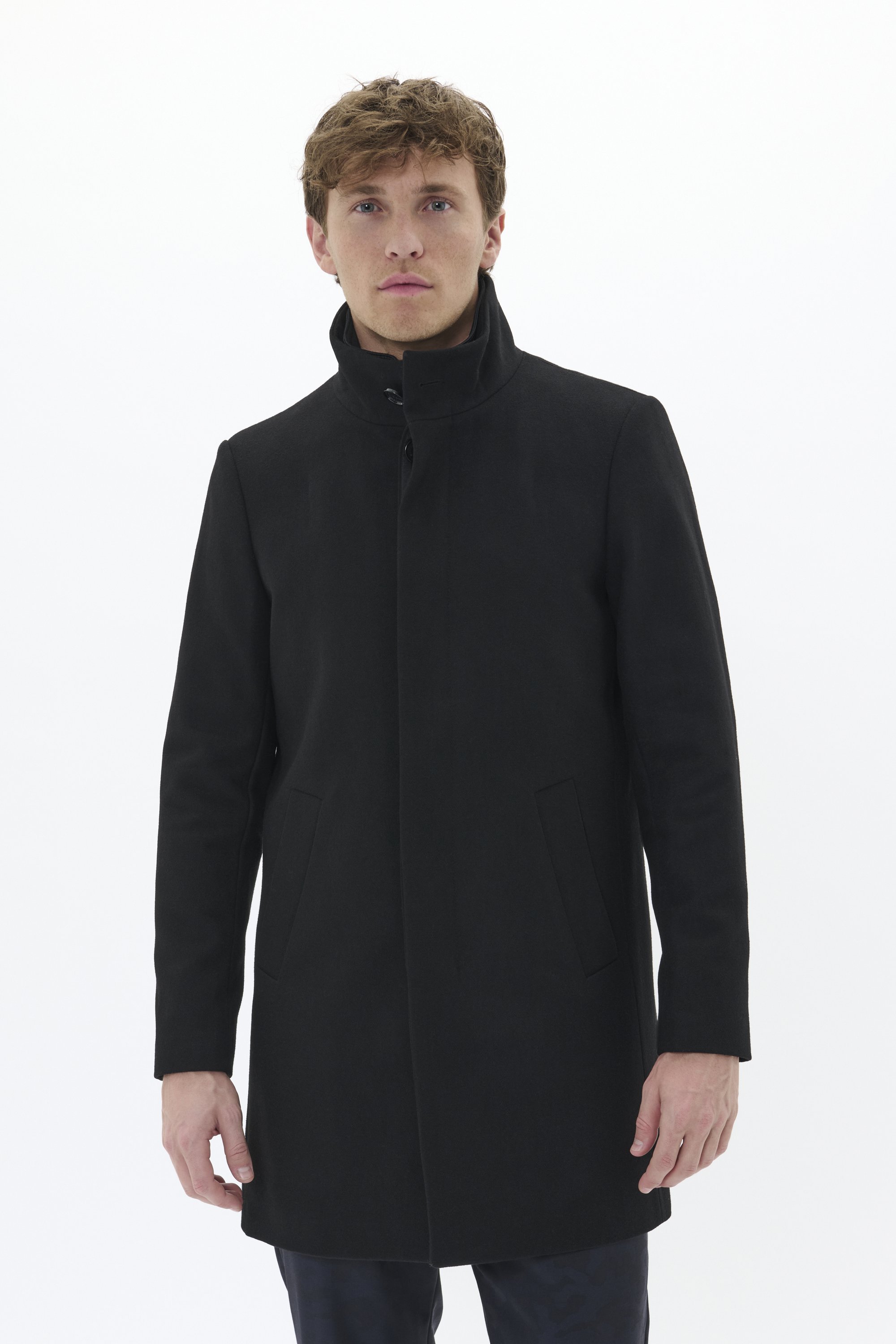 Matinique HARVEY - Poil court - noir