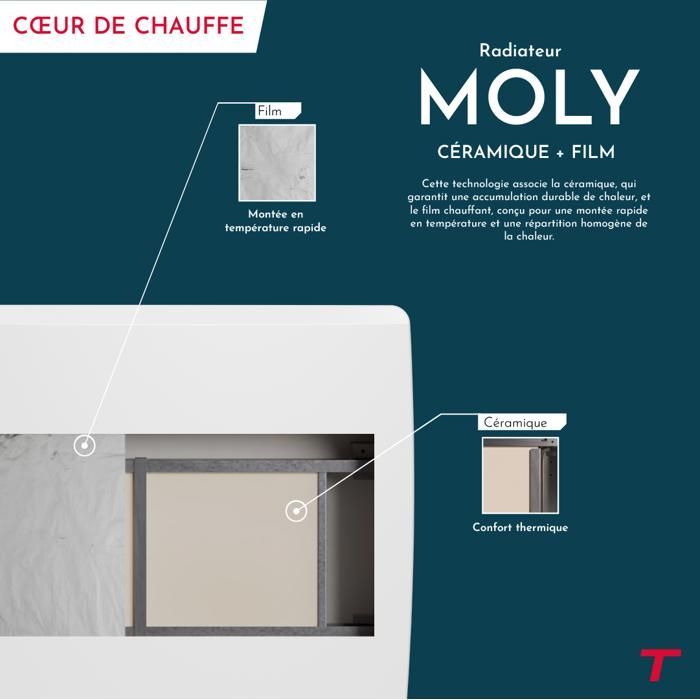 Radiateur électrique fixe inertie sèche - Double cœur de chauffe - THOMSON - MOLY 1000W - Connecté WiFi - horizontal blanc - NF
