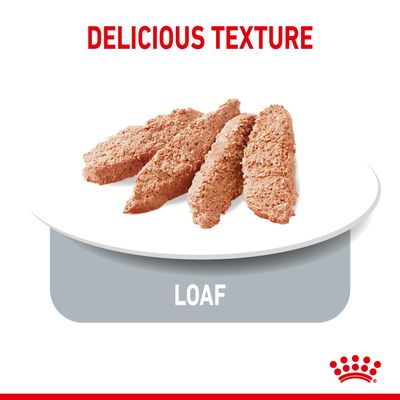Patê Royal Canin Light Weight Care