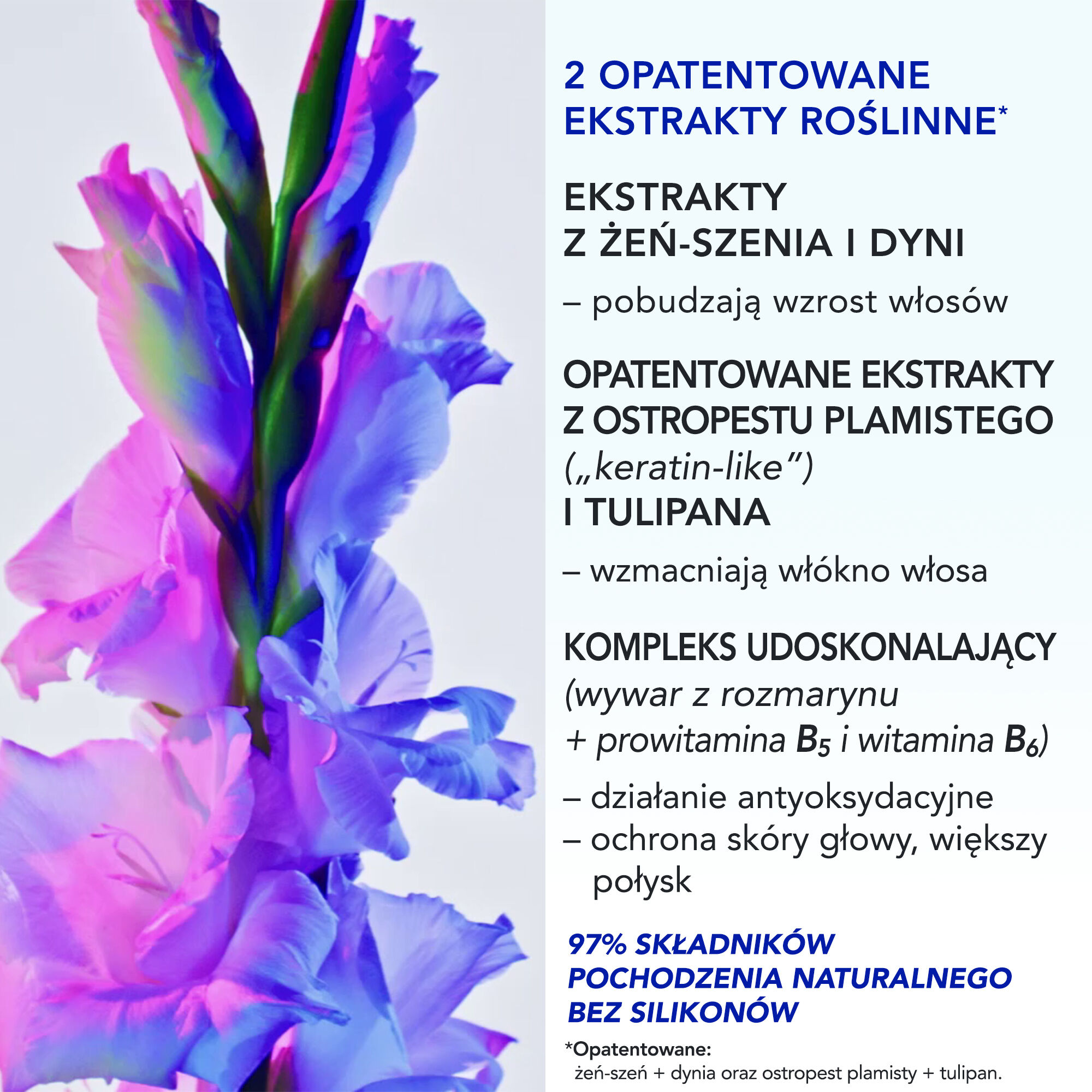 Phyto Paris PHYTOPHANERE