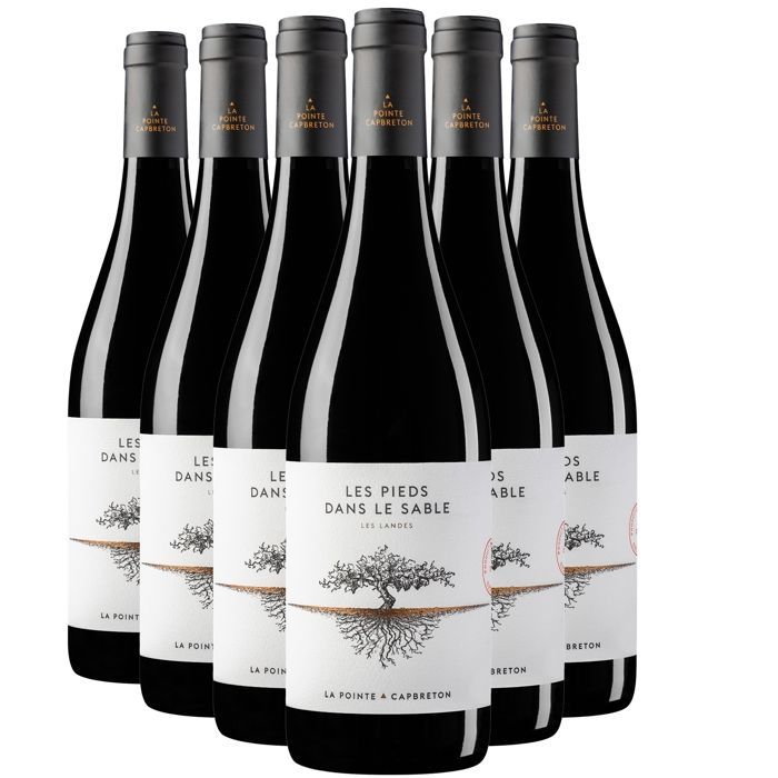 Domaine de la Pointe Landes Les Pieds dans le Sable 2024 - Vinho Tinto do Sudoeste (6x75cl)
