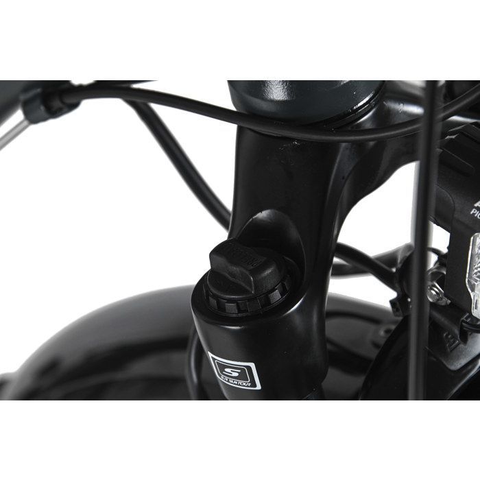 DaCapo VTC Femme 28'' Firenze 100 gris 21 vitesses TC 48 cm V-Brakes